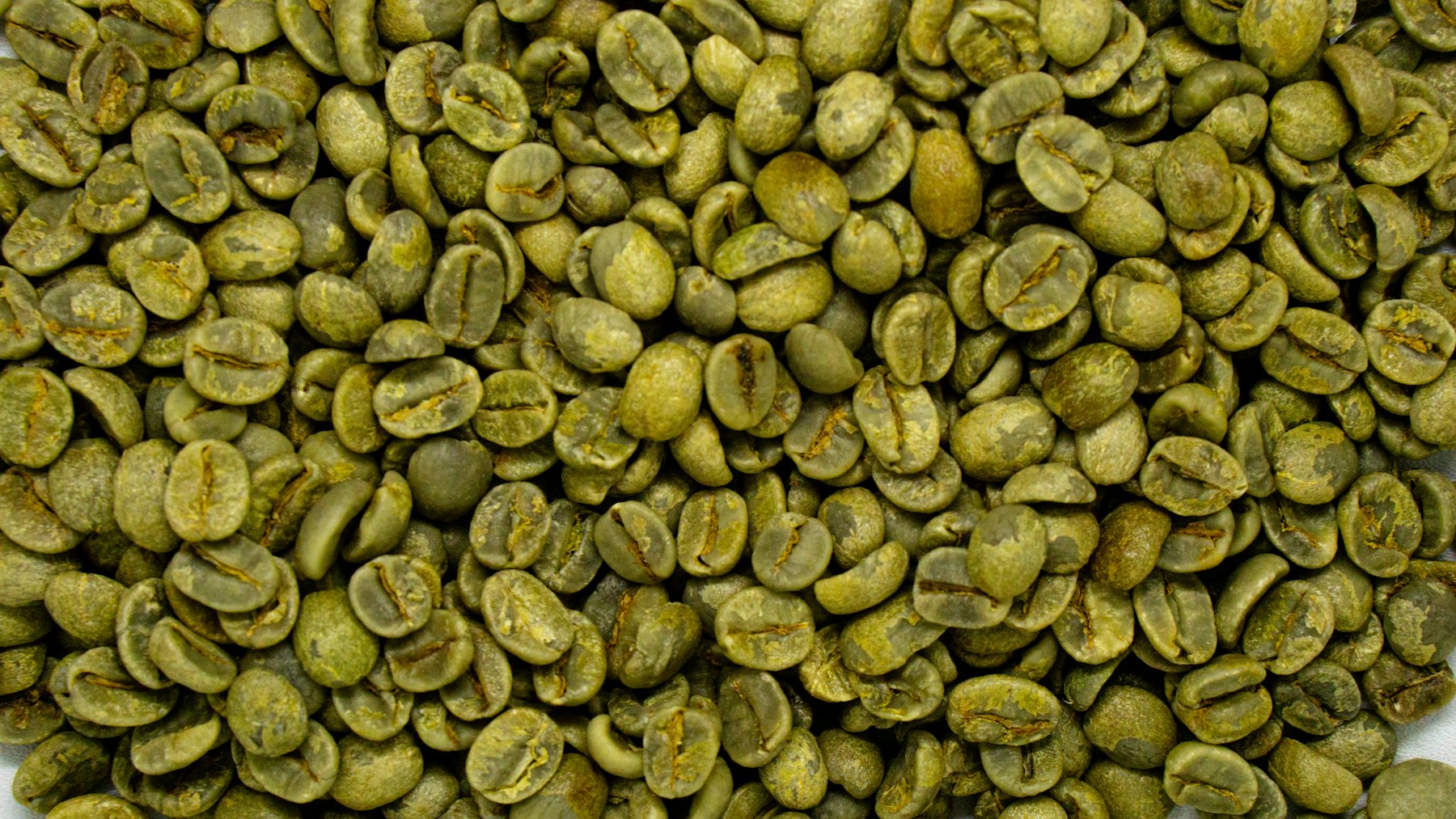 Grains de café verts, avant torréfaction.